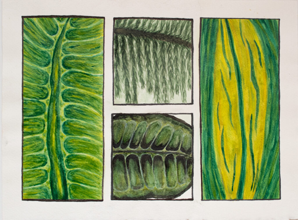 Study No. 1 in Watercolor  - Print
