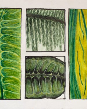 Study No. 1 in Watercolor  - Print
